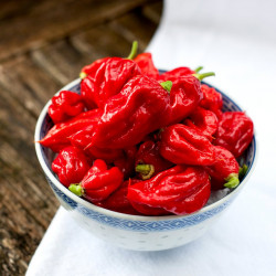 Pepper Chilli Seeds Carolina Reaper