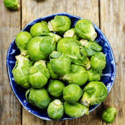Brussels Sprout Seeds Jade Cross F1