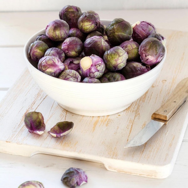 Buy Brussels Sprouts Seeds Red Rubine Online - Green plants & flowering plants Buy Brussels Sprouts Seeds Red Rubine Online - Green plants & flowering plants