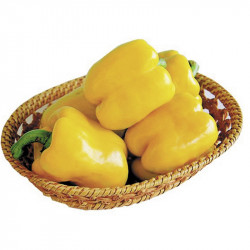 Pepper Seeds Yellow Bell F1