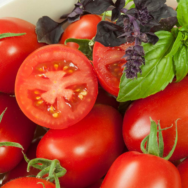 Buy Tomato Seeds Crimson Plum F1 Online - Green plants & flowering plants