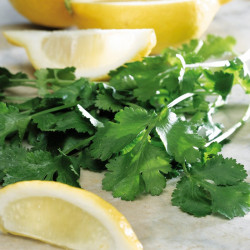 Coriander Seeds Lemon