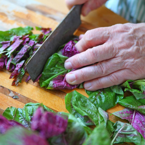 Buy Leaf Salad Seeds Amaranth Superfood Salad Mix Online - Green plants & flowering plants
