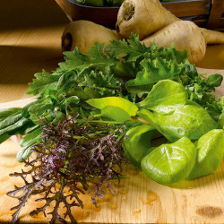 Leaf Salad Seeds Winter Mix