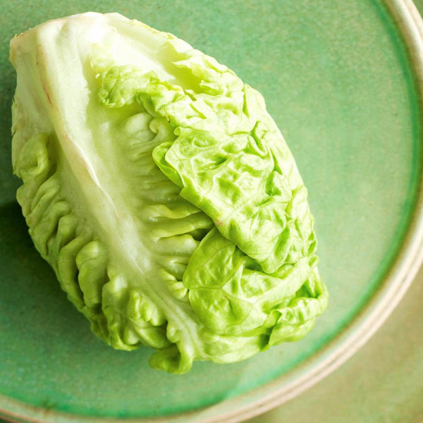 Buy Lettuce Seeds Little Gem Online - Green plants & flowering plants