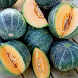 Melon Seeds Petit Gris De Rennes