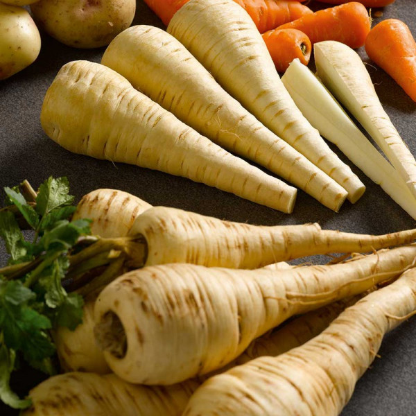Buy Parsnip Seeds Tender and True Online - Green plants & flowering plants