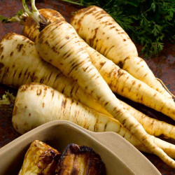 Parsnip Seeds Picador F1