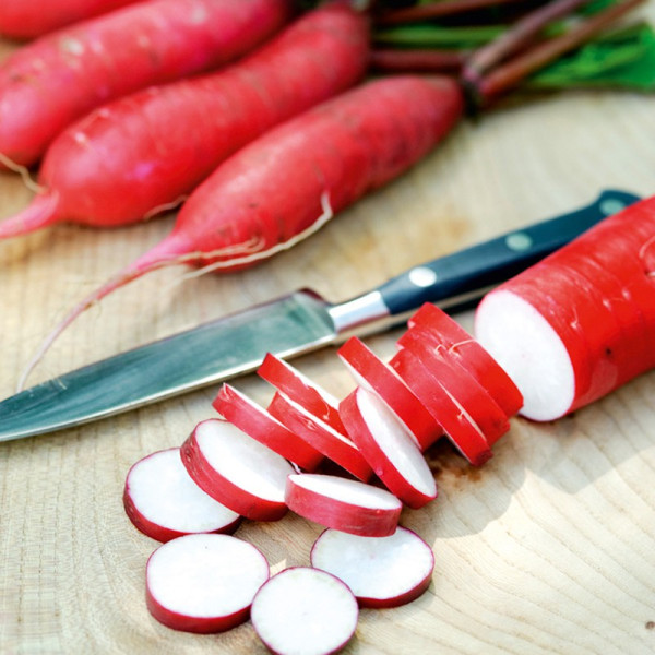 Buy Radish Seeds Dragon F1 Online - Green plants & flowering plants Buy Radish Seeds Dragon F1 Online - Green plants & flowering plants