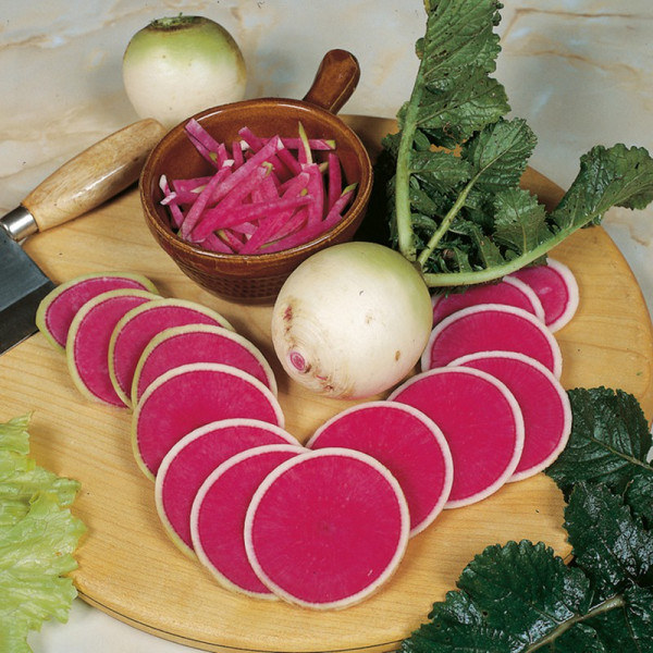 Buy Radish Seeds Mantanghong F1 Online - Green plants & flowering plants Buy Radish Seeds Mantanghong F1 Online - Green plants & flowering plants