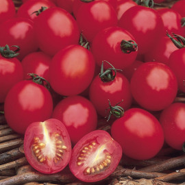 Tomato Seeds Apero F1