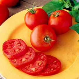 Tomato Seeds Long Keeper