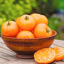 Tomato Seeds Orange Wellington F1