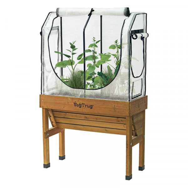 Buy Small Greenhouse Frame & Multi Cover Set Online - Green plants & flowering plants