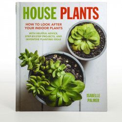 House Plants How to Look After Your Indoor Plants