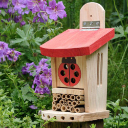 Ladybird Lodge