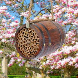 Bee R Barrel