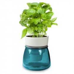 Self Watering Herb Pot Blue