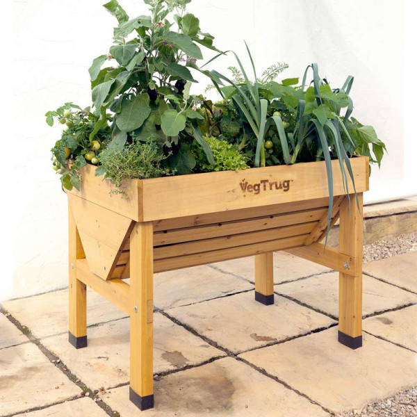 Buy VegTrug 1 meter Natural Online - Green plants & flowering plants