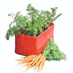 Carrot Patio Planters