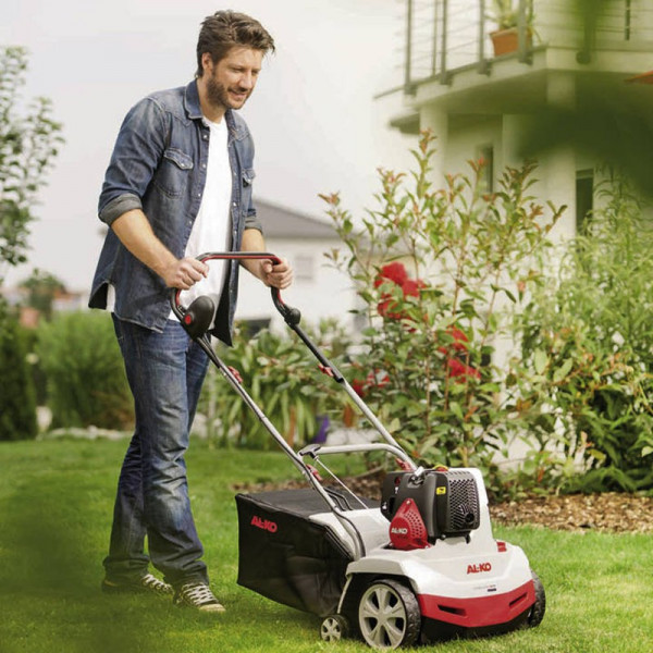 Buy AL KO 38P Combi Care Comfort Petrol Online - Green plants & flowering plants Buy AL KO 38P Combi Care Comfort Petrol Online - Green plants & flowering plants