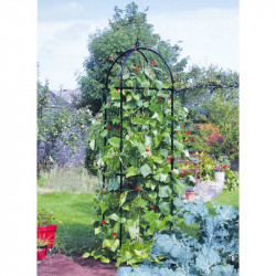 Runner Bean Tower