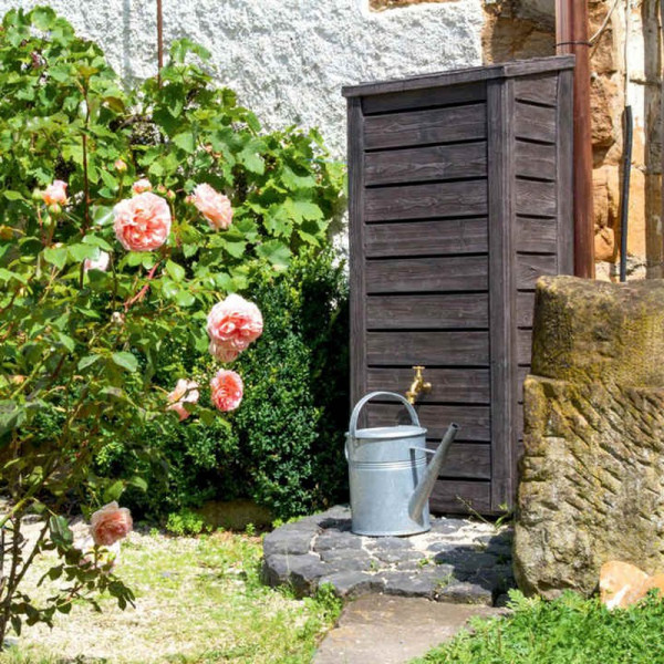 Buy Norway Water Tank 230 Litre Online - Green plants & flowering plants