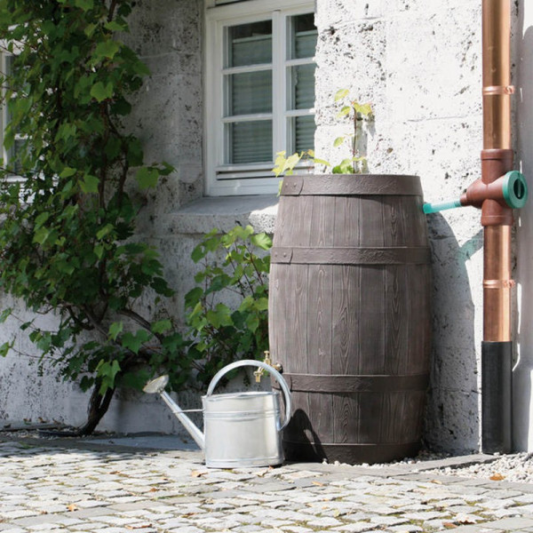 Buy Barrique Water Tank 250 Litre Online - Green plants & flowering plants Buy Barrique Water Tank 250 Litre Online - Green plants & flowering plants