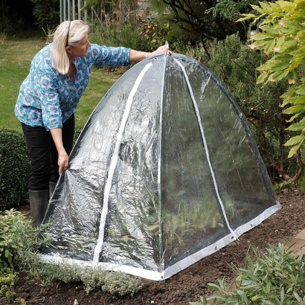 Buy Popadome Poly Cover Online - Green plants & flowering plants