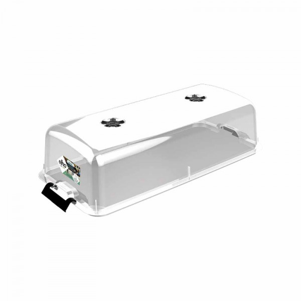 Buy Grow Table Lid Online - Green plants & flowering plants