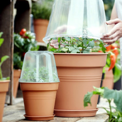 Grow Pot 30cm + Bell Cover + Saucer (3 Sets)