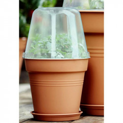 Grow Pot 17cm + Bell Cover + Saucer