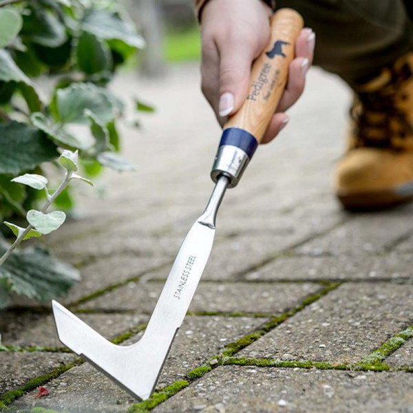 Buy Stainless Steel Patio Knife Online - Green plants & flowering plants