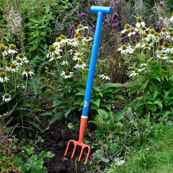 Buy Digging Fork Online - Green plants & flowering plants
