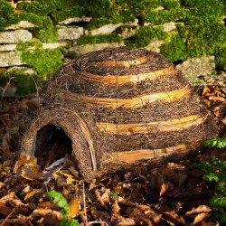 Igloo Hedgehog House