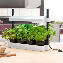 Micro Grow Light Garden Black