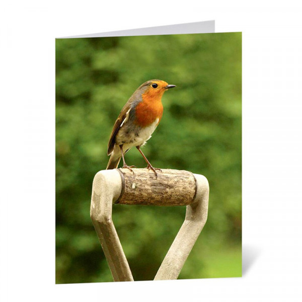 Buy Dobies Gift Voucher Online - Green plants & flowering plants