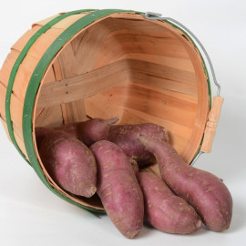 Sweet Potato Tahiti