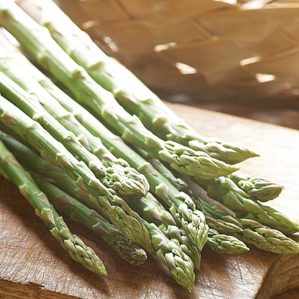 Buy Asparagus Crowns Guelph Millennium Online - Garden Plants & Bushes