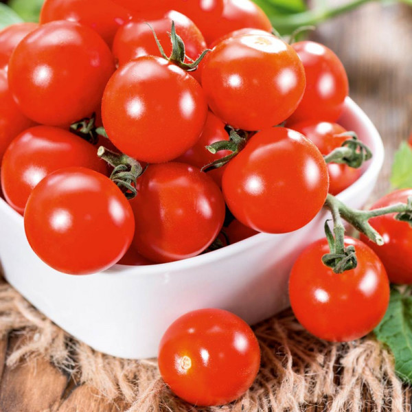 Buy Grafted Tomato Plant F1 Crimson Cherry Online - Green plants & flowering plants Buy Grafted Tomato Plant F1 Crimson Cherry Online - Green plants & flowering plants