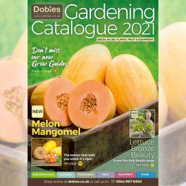 Dobies January Catalogue