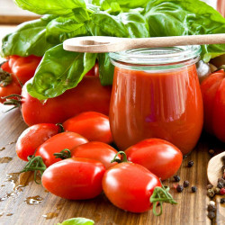 Grafted Tomato Plant F1 Giulietta