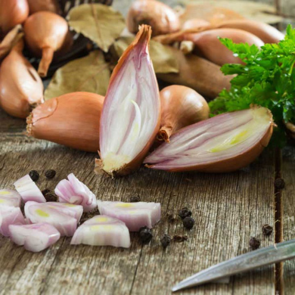 Buy Shallot Seeds Simiane Online - Green plants & flowering plants