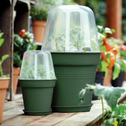 Leaf Green Grow Pot 17cm + Bell Cover + Saucer