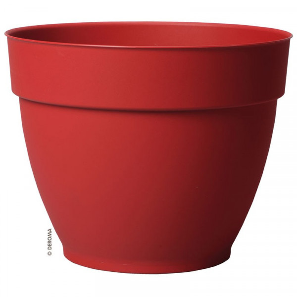 Buy Ninfea Water Reservoir Planter 22cm Cherry Online - Green plants & flowering plants