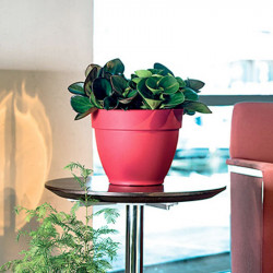 Ninfea Water Reservoir Planter 30cm Cherry