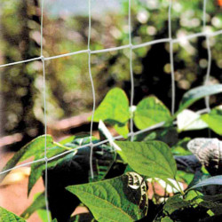 Pea & Bean Netting