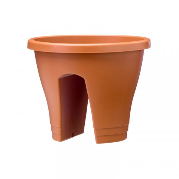 Buy Corsica Flower Bridge 30cm Terracotta Online - Green plants & flowering plants