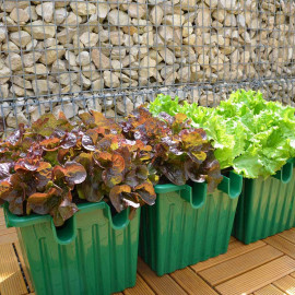 Self Watering Planter Green X 1