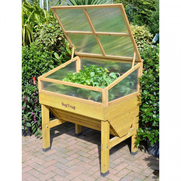Buy VegTrug Classic Cold Frame 1m (Natural) Online - Green plants & flowering plants